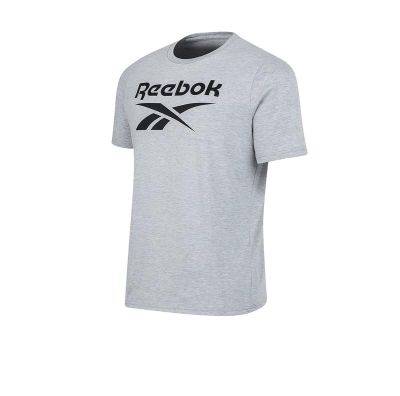 REMERA REEBOK RI BIG STACKED LOGO (GRIS)